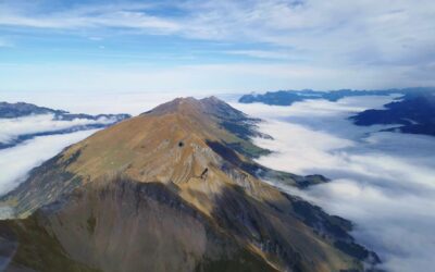 Vivement la Gruyère Fly 2020