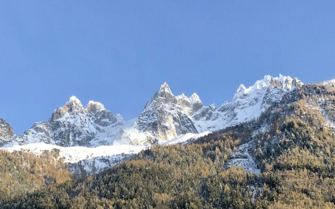 Inscription 2020 …. ???