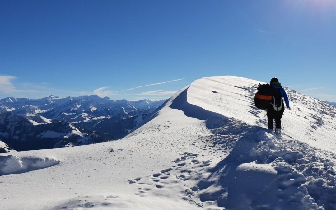 Inscription Gruyère Fly 2020