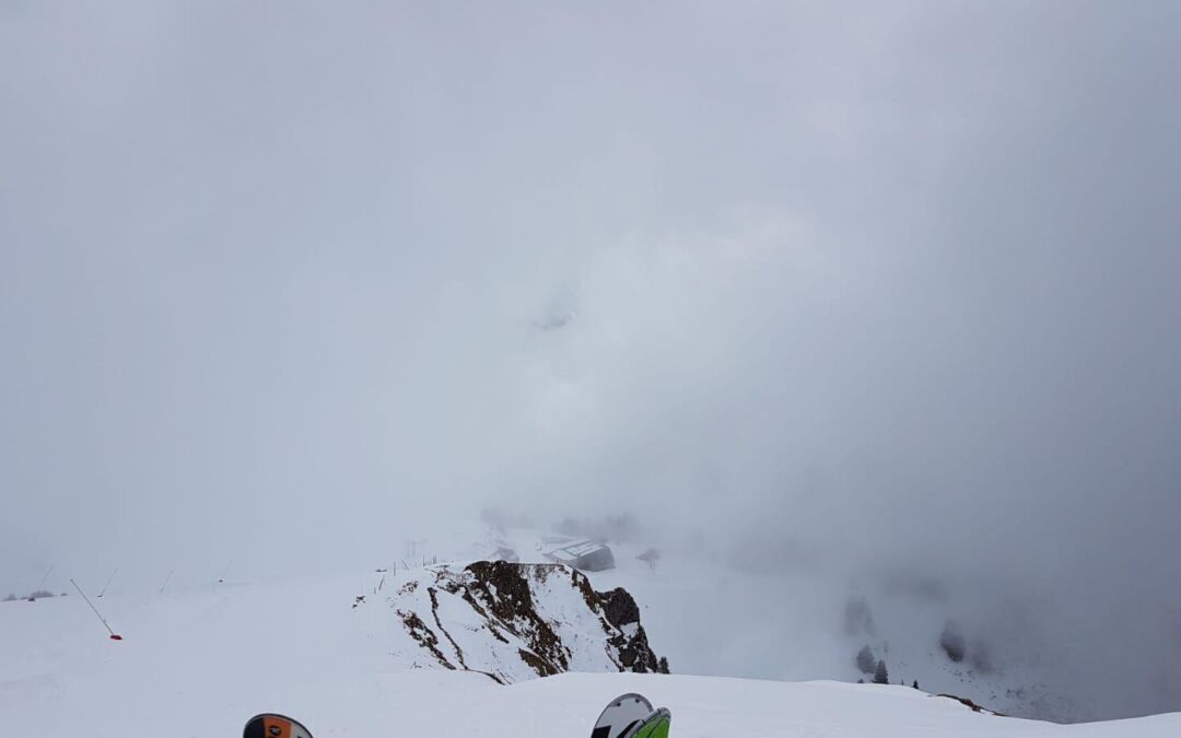 Une première, avec beaucoup de plaisir :)