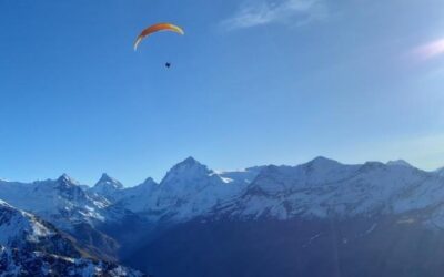 Bonjour les volatiles