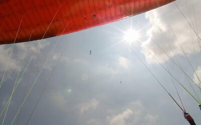 Saluti tout le monde