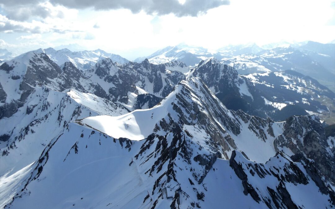 Cette fois sera la bonne !