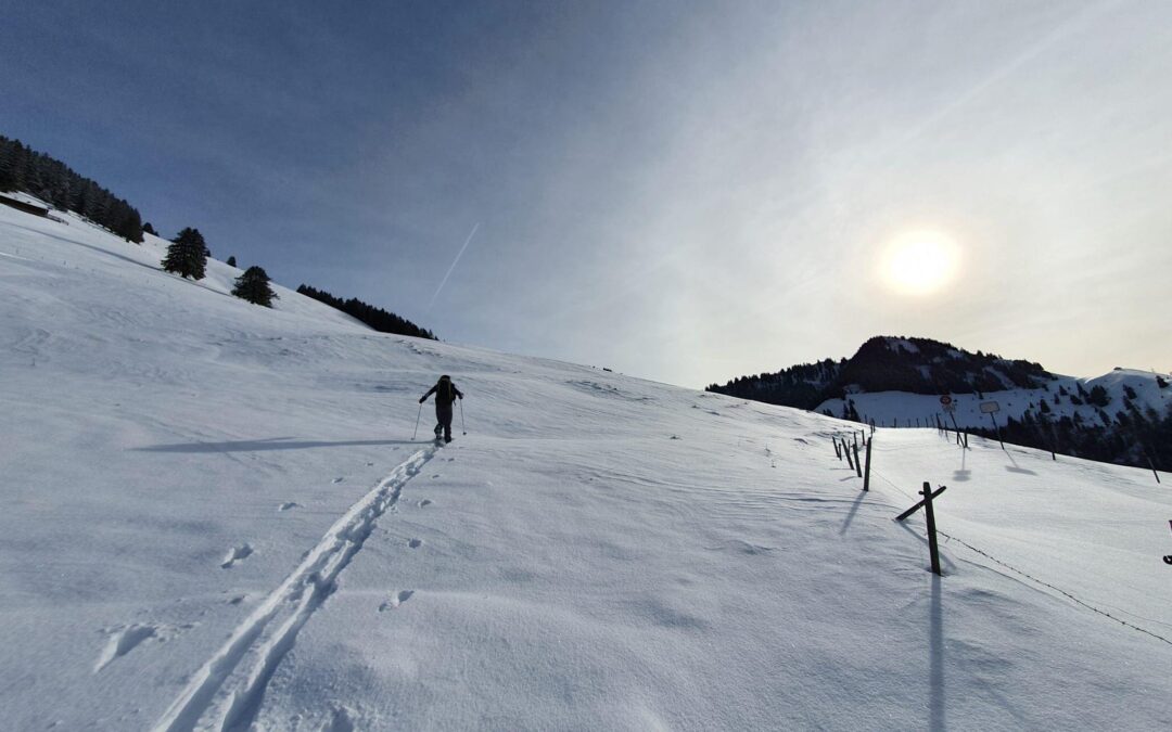 Vive la Gruyère à toute saison.