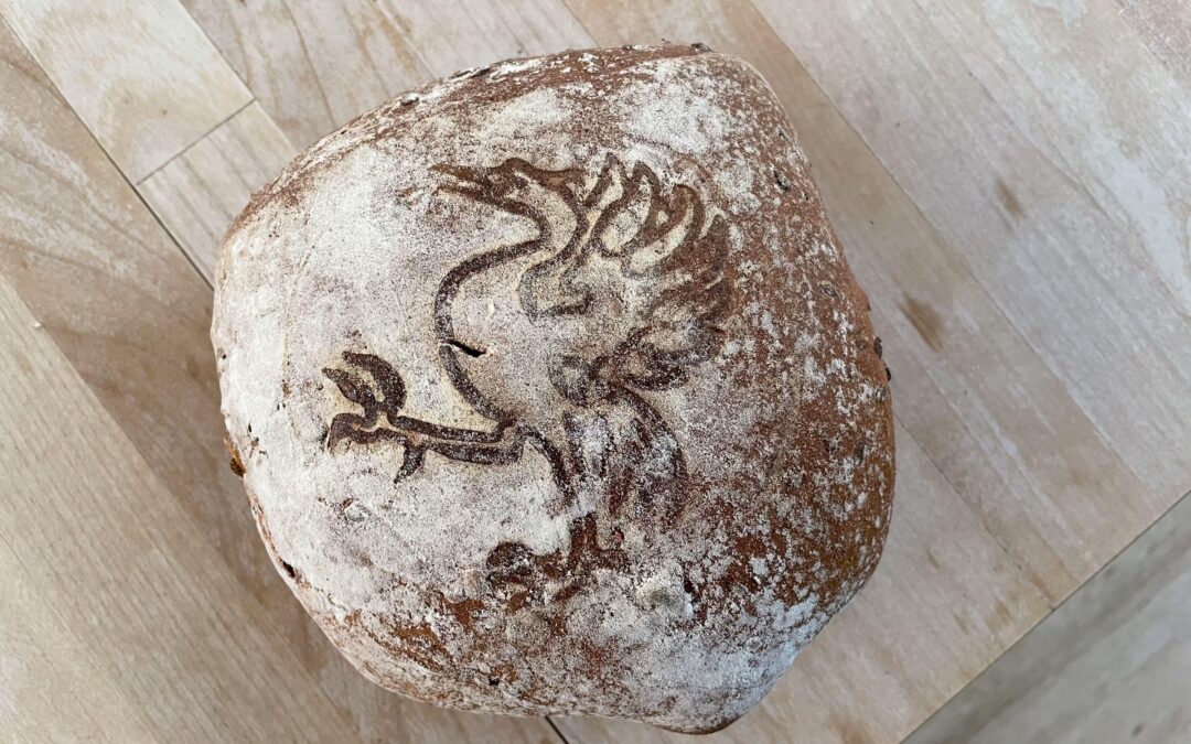 Bienvenue en Gruyère!