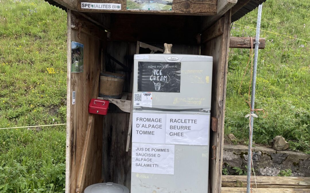 Tomme ou raclette … j’hésite ?