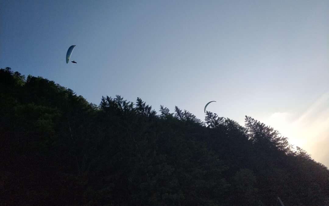 Les lolos arrivent à Charmey