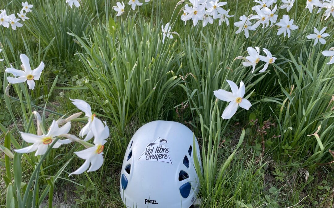 Debout les zouzous: jour 2!