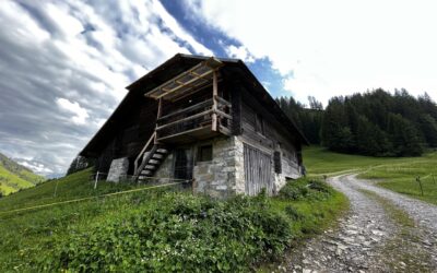 3…2…1…Goooooooo!!!!!