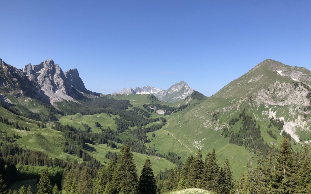 vue depuis le chalet du soldat