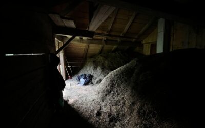 Our 5 stars hotel!!!!