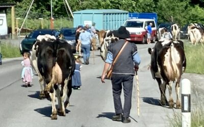 Journée touristique