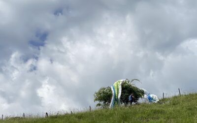 C’est aussi la gruyerefly