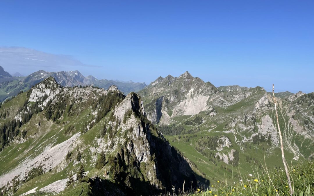 Premier deco du jour