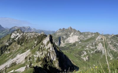 Premier deco du jour