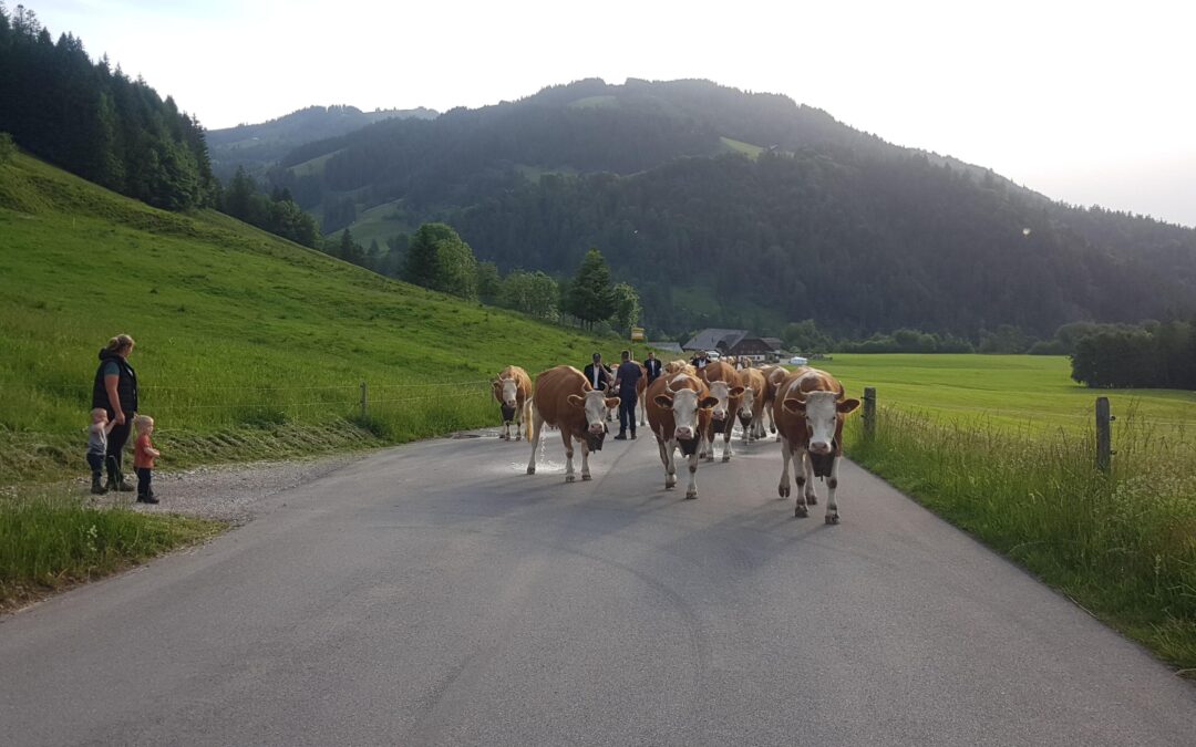 2ème jour de course