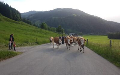 2ème jour de course