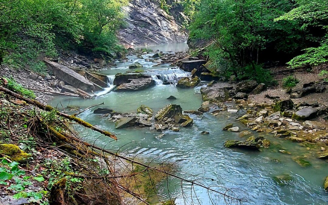 Dernier jour … au sol vu les prévisions