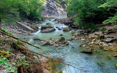 Dernier jour … au sol vu les prévisions