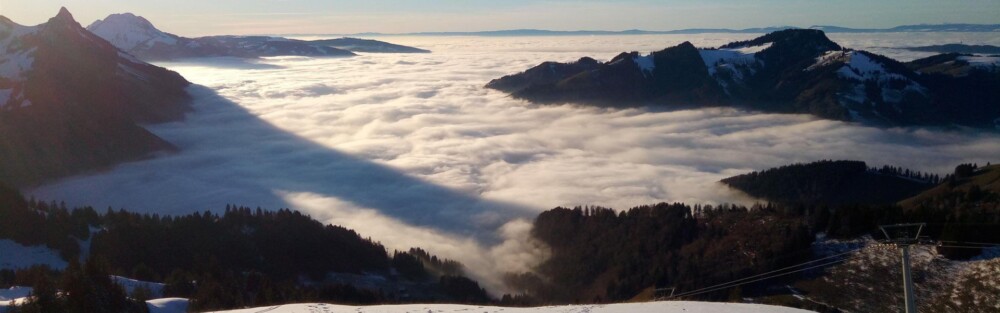 olivierpercebois-garve